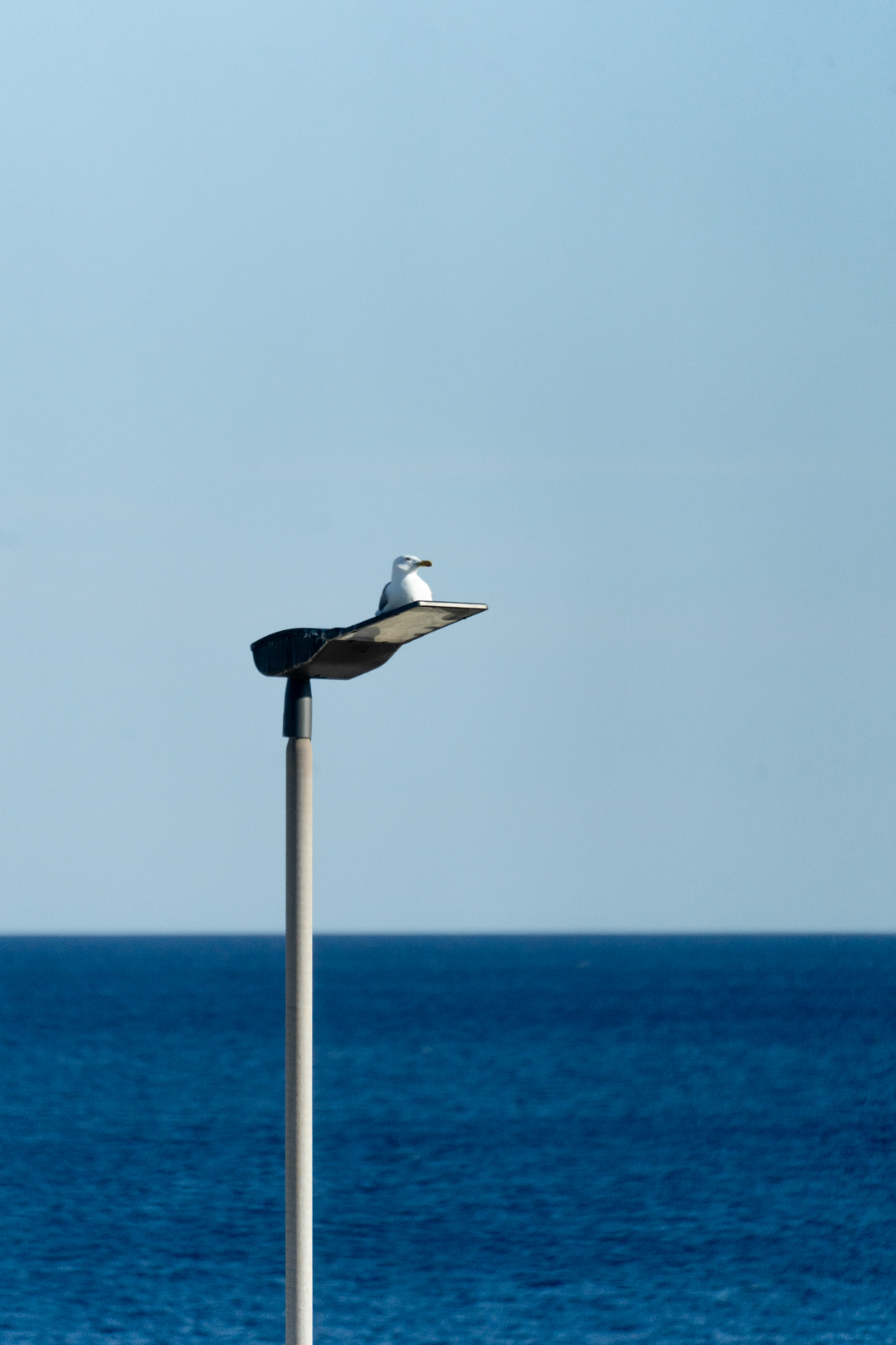 Elba Travel Photographer / Fotograf na Elbie / fotografia di viaggio Isola d’Elba