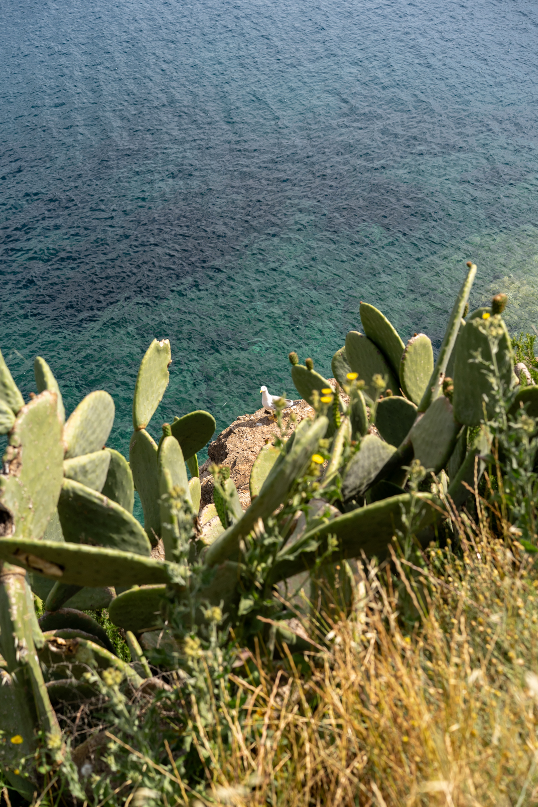 Elba Travel Photographer / Fotograf na Elbie / fotografia di viaggio Isola d’Elba